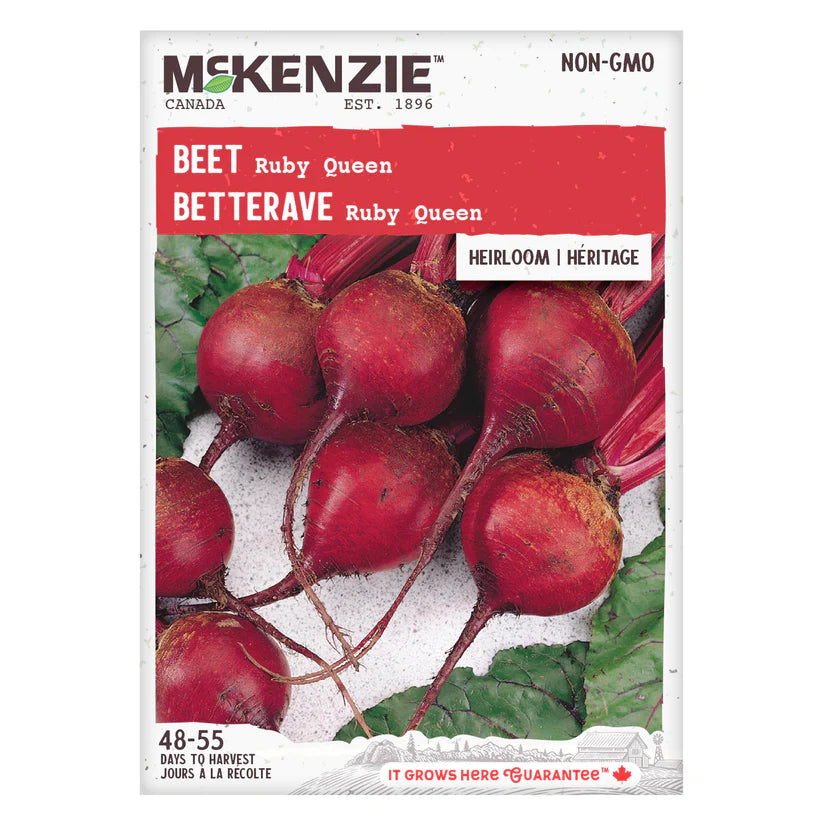 VEGETABLE SEEDS: BEETROOT - RUBY QUEEN
