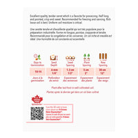 SEMENCES DE LEGUMES: CAROTTE - RED CORED DANVERS