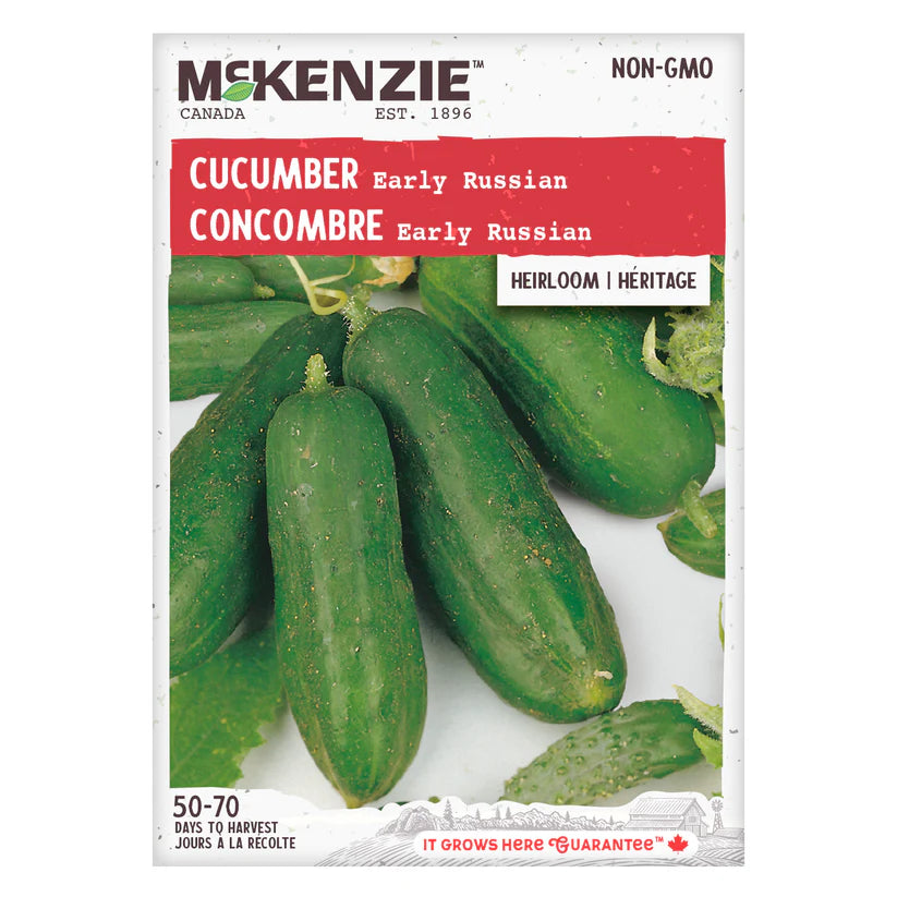 SEMENCES DE LEGUMES: CONCOMBRE - EARLY RUSSIAN
