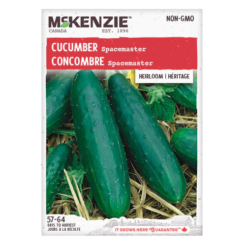 VEGETABLE SEEDS: CUCUMBER - SPACEMASTER TRAILING