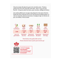 SEMENCES DE LEGUMES: CONCOMBRE - STRAIGHT EIGHT