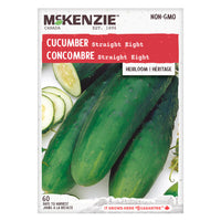 SEMENCES DE LEGUMES: CONCOMBRE - STRAIGHT EIGHT
