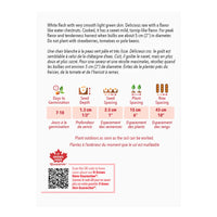 SEMENCES DE LEGUMES: CHOU-RAVE - EARLY WHITE VIENNA