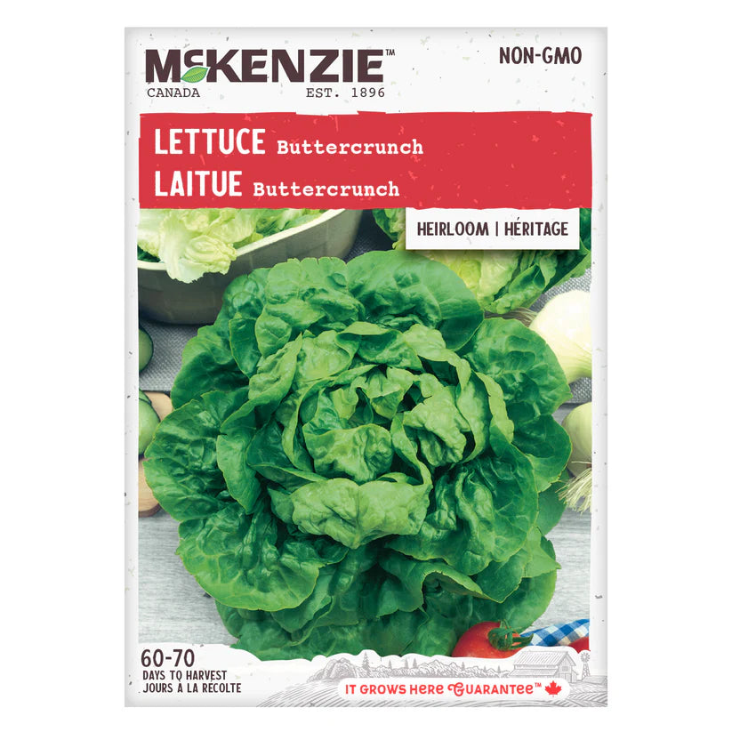 VEGETABLE SEEDS: LETTUCE - BUTTERCRUNCH