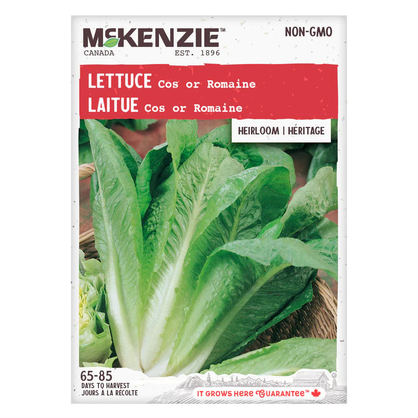 VEGETABLE SEEDS: LETTUCE - COS