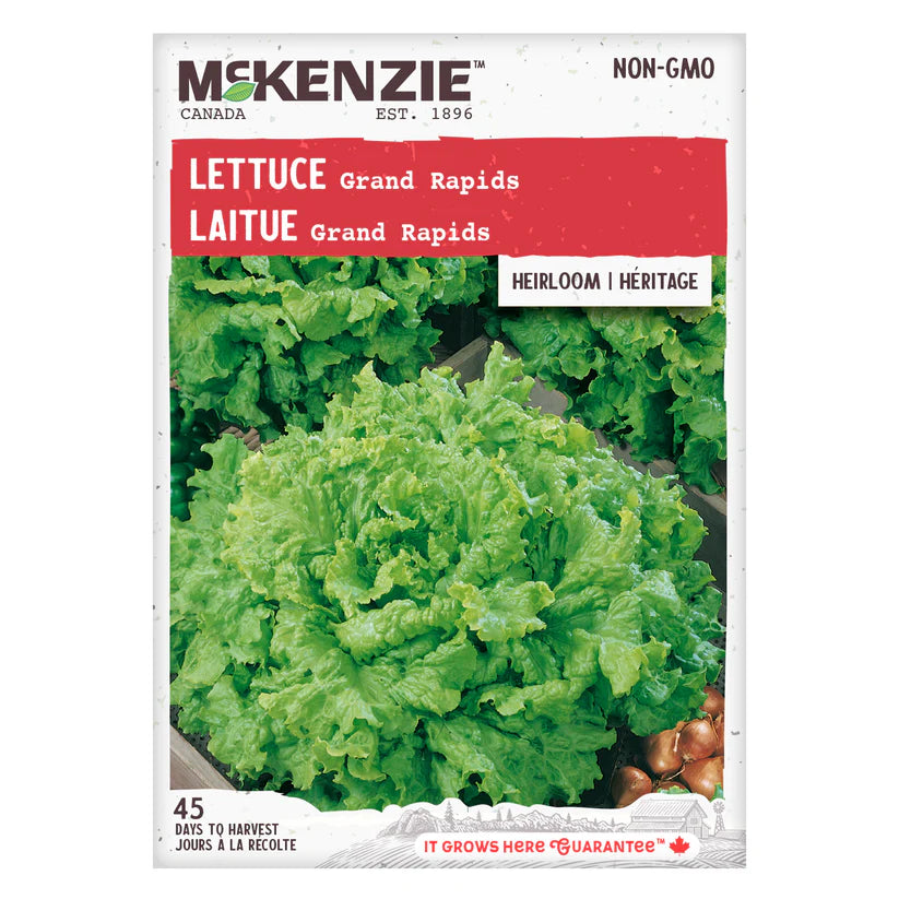 VEGETABLE SEEDS: LETTUCE - GRAND RAPIDS