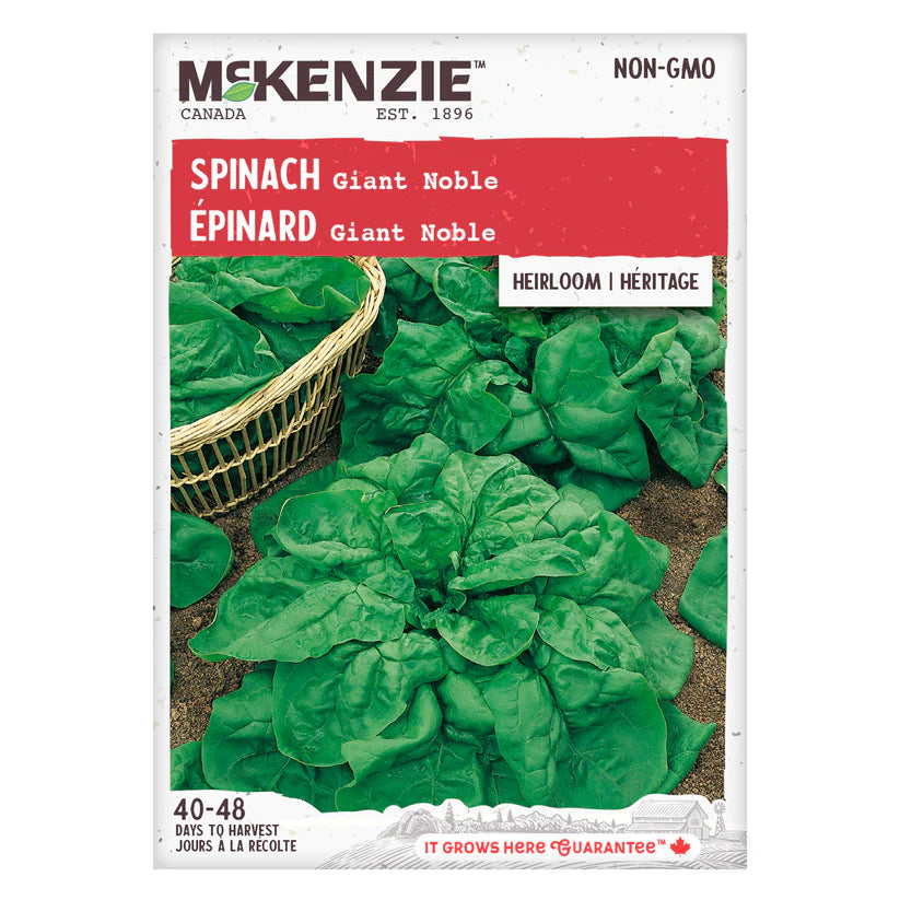 VEGETABLE SEEDS: SPINACH - GIANT NOBLE