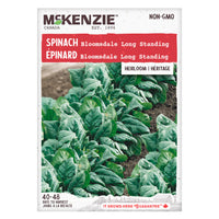 SEMENCES DE LEGUMES: EPINARD - LONG STANDING BLOOMSDALE