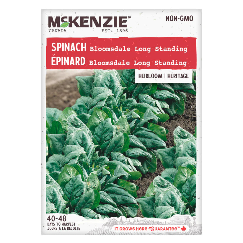 VEGETABLE SEEDS: SPINACH - LONG STANDING BLOOMSDALE