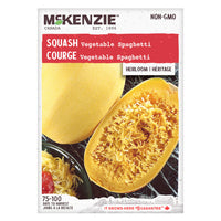 SEMENCES DE LEGUMES: COURGE - LEGUME SPAGHETTI