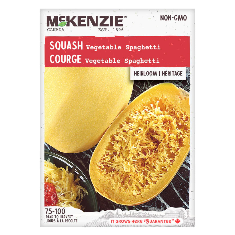 SEMENCES DE LEGUMES: COURGE - LEGUME SPAGHETTI
