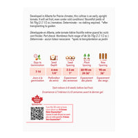SEMENCES DE LEGUMES: TOMATE - SUB ARCTIC PLENTY