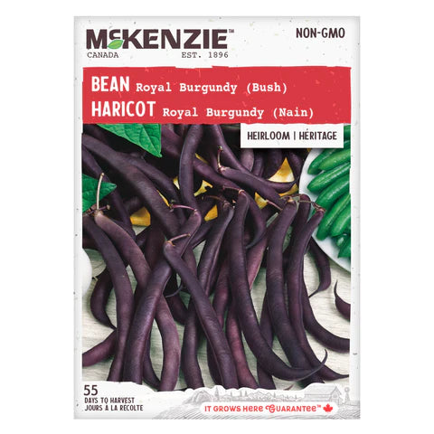 VEGETABLE SEEDS: BEAN - ROYAL BURGUNDY (DWARF)