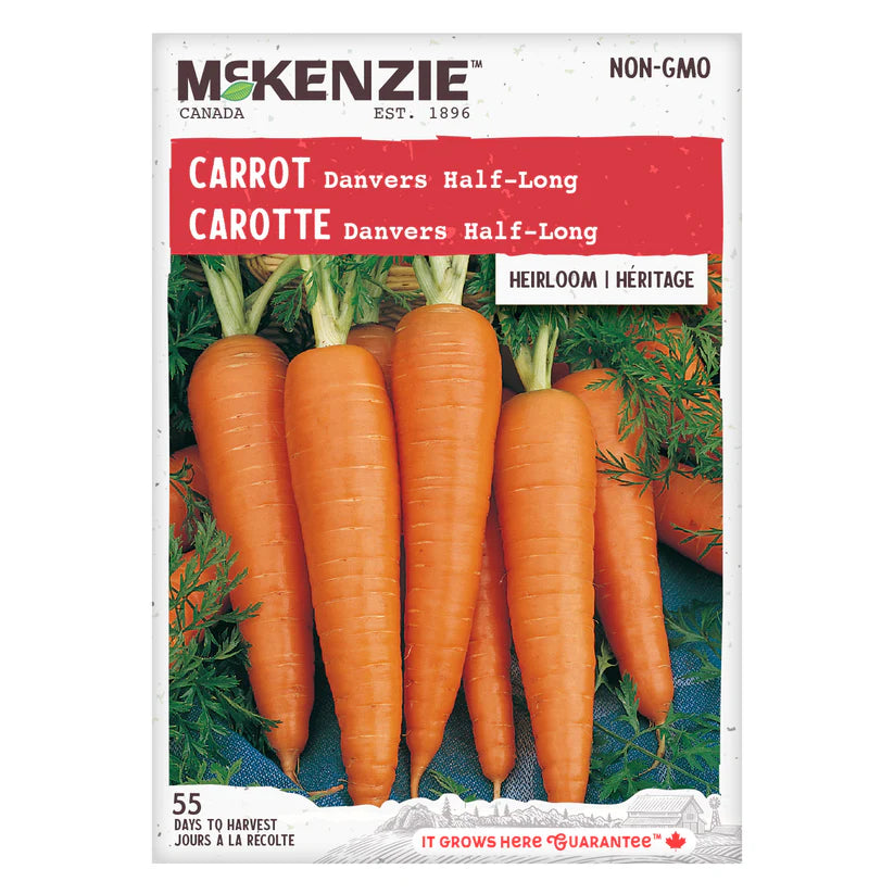VEGETABLE SEEDS: CARROT - DENVER HALF LONG