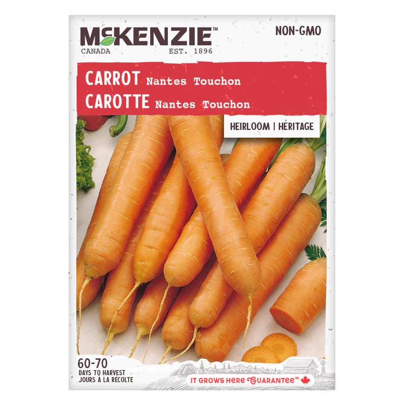 VEGETABLE SEEDS: CARROT - NANTES TOUCHON