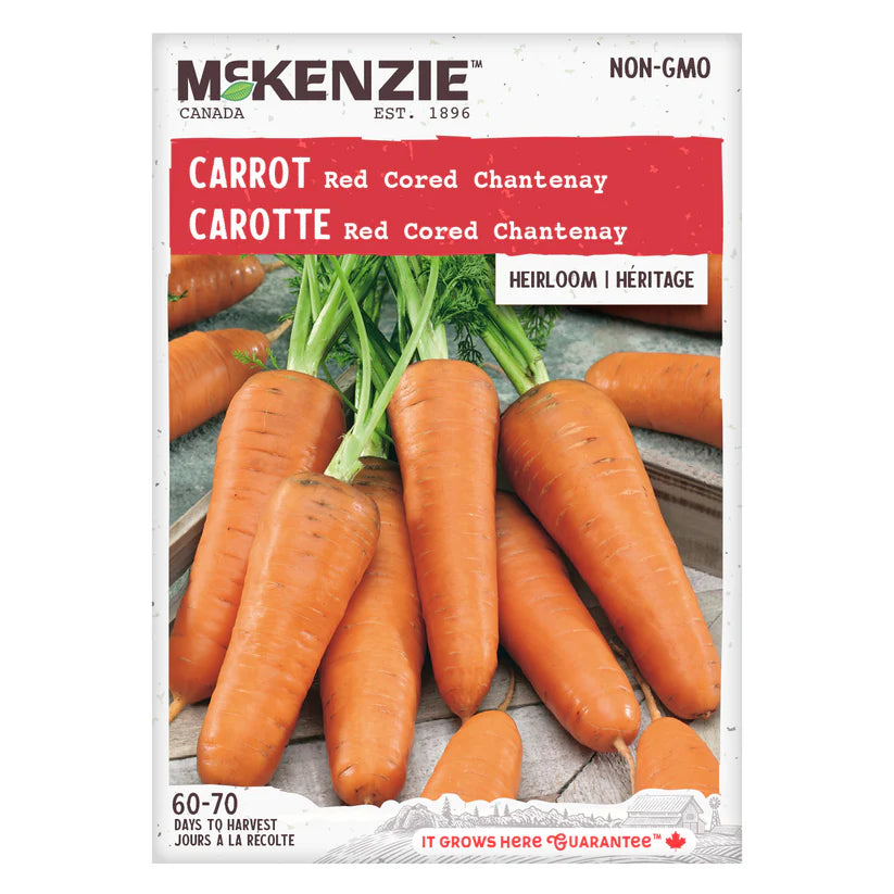 VEGETABLE SEEDS: CARROT - RED CORED CHANTENAY