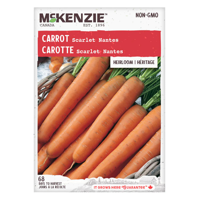 SEMENCES DE LEGUMES: CAROTTE - SCARLET NANTES