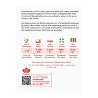 SEMENCES DE LEGUMES: LAITUE - EARLY GREAT LAKES