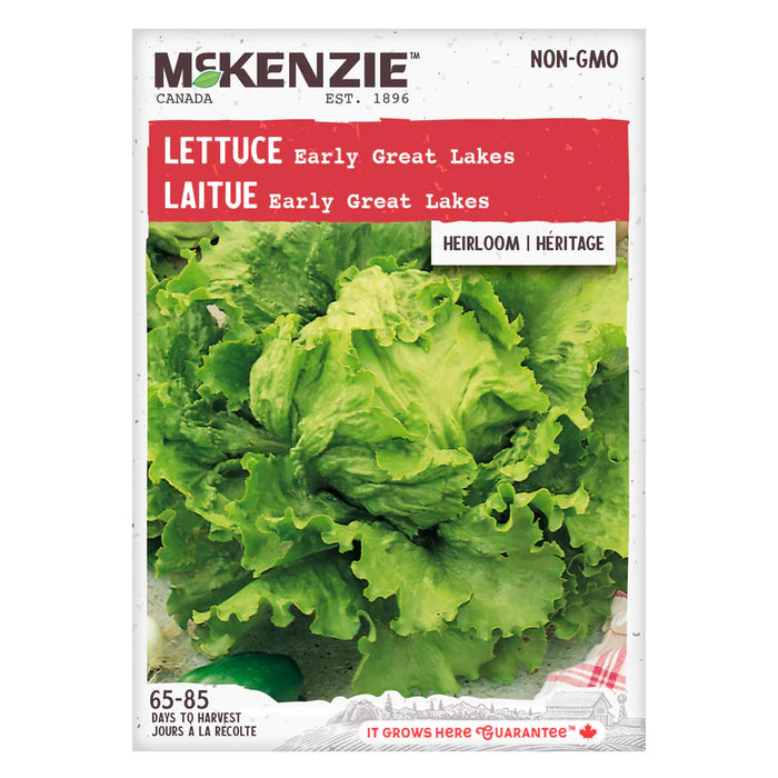 SEMENCES DE LEGUMES: LAITUE - EARLY GREAT LAKES
