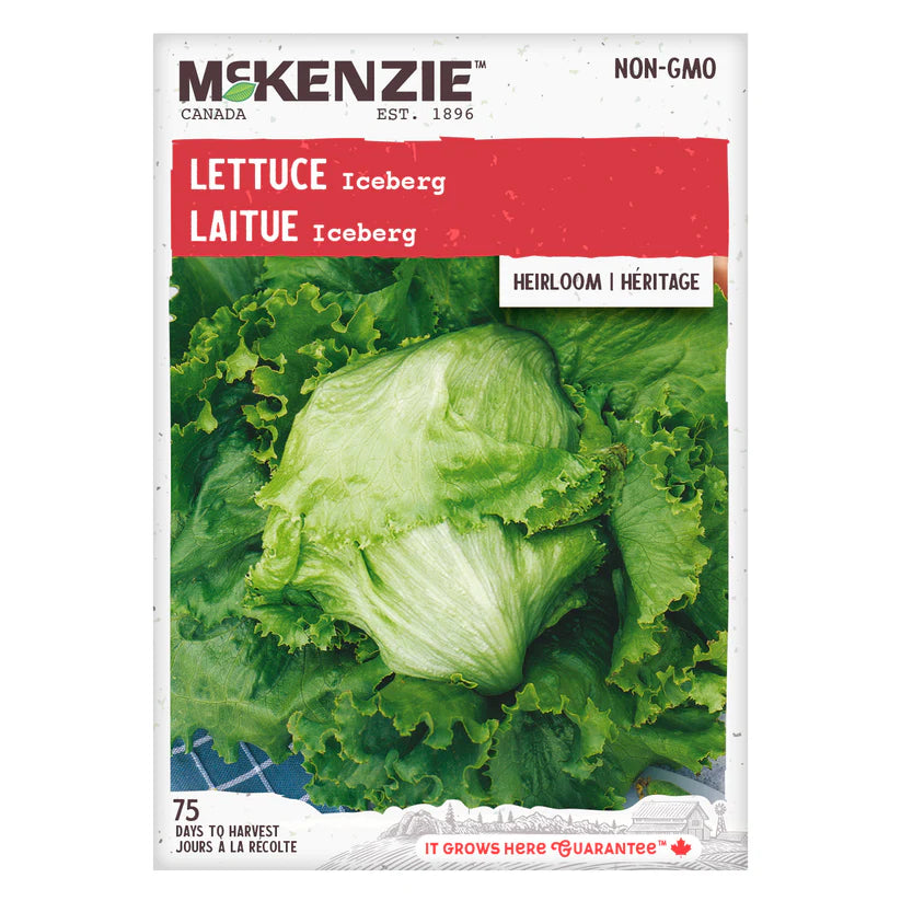 VEGETABLE SEEDS: LETTUCE - ICEBERG