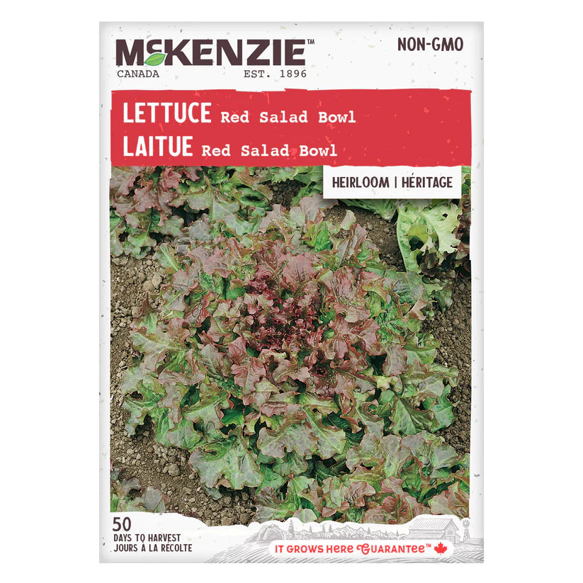 VEGETABLE SEEDS: LETTUCE - RED SALAD BOWL