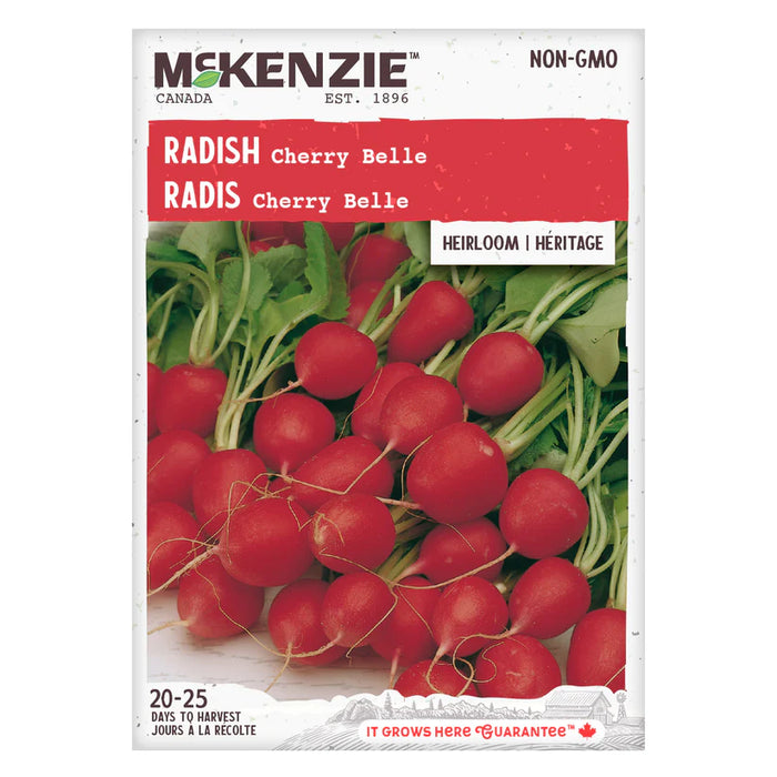 SEMENCES DE LEGUMES: RADIS - CHERRY BELLE