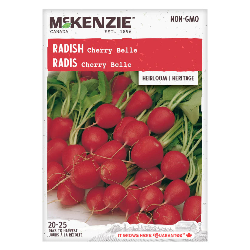 VEGETABLE SEEDS: RADISH - CHERRY BELLE