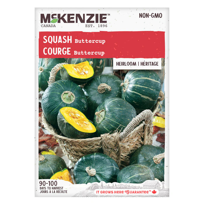 SEMENCES DE LEGUMES: COURGE - BUTTERCUP