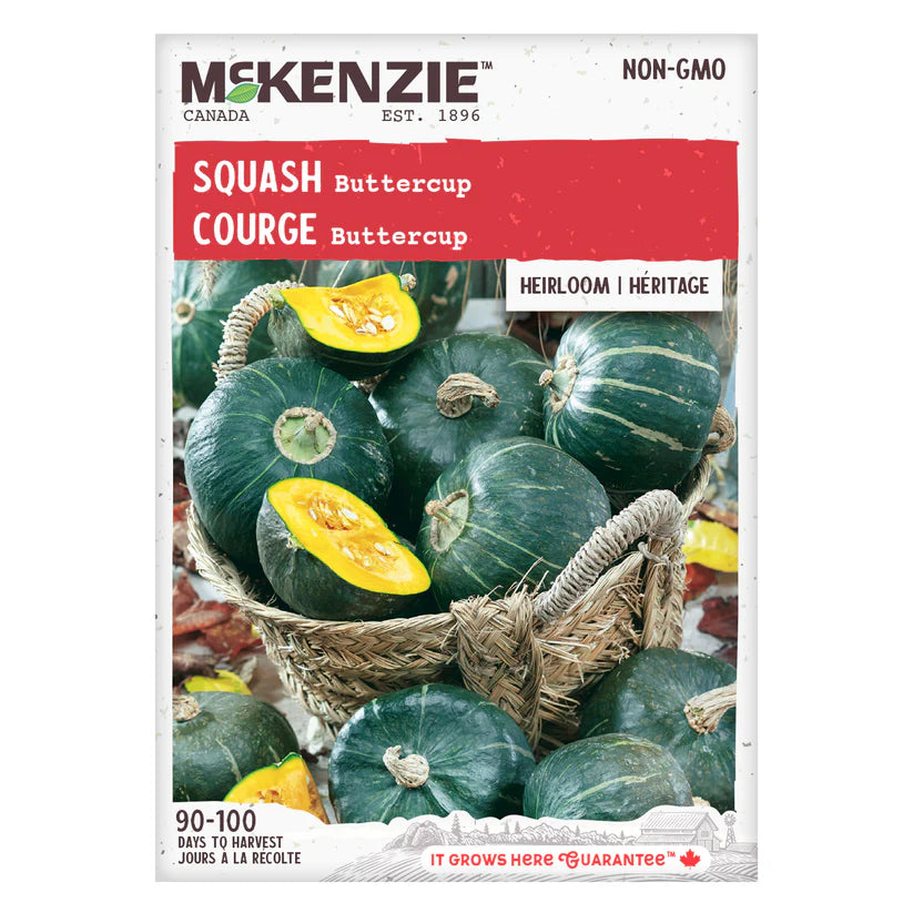 VEGETABLE SEEDS: SQUASH - BUTTERCUP
