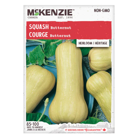 SEMENCES DE LEGUMES: COURGE - BUTTERNUT