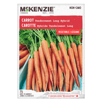 SEMENCES DE LEGUMES: CAROTTE - TENDERSWEET LONG