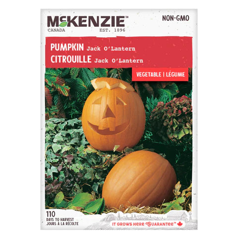 SEMENCES DE LEGUMES: CITROUILLE - JACK O LANTERN