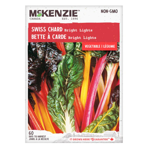 VEGETABLE SEEDS: SWISS CHARD - BRIGHT LIGHTS