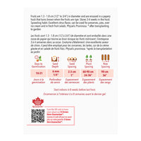 SEMENCES DE LEGUMES: CERISE DE TERRE - AUNT MOLLY'S