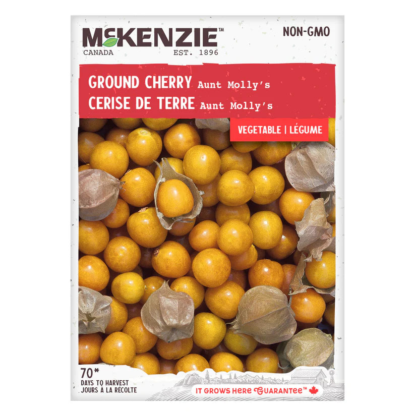 VEGETABLE SEEDS: GROUND CHERRY - AUNT MOLLY'S