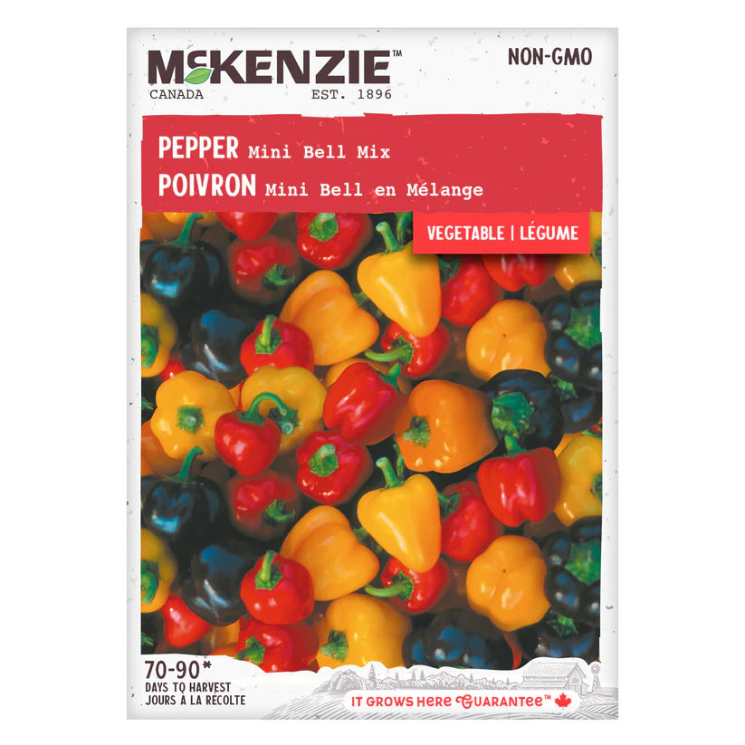SEMENCES DE LEGUMES: POIVRON - MINI BELL EN MELANGE