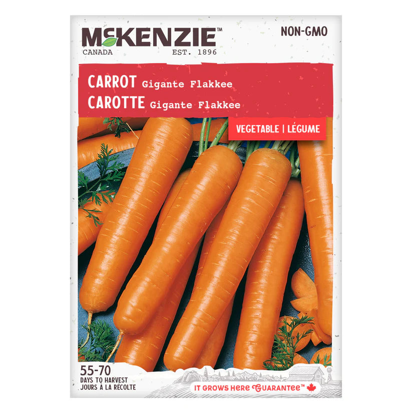 SEMENCES DE LEGUMES: CAROTTE - GIGANTE FLAKKEE