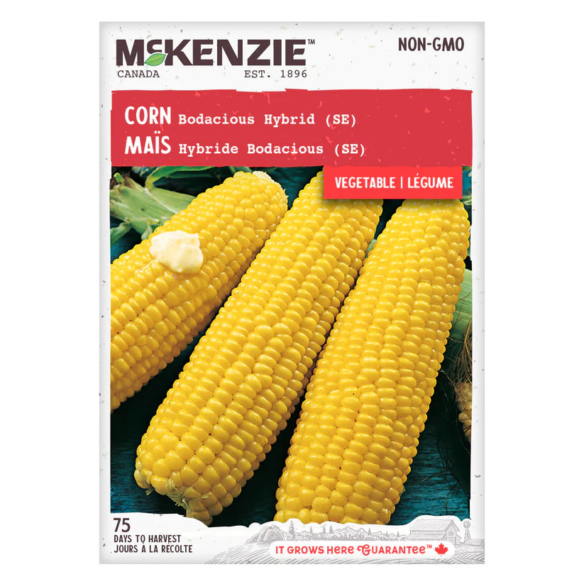 VEGETABLE SEEDS: CORN - BODACIOUS