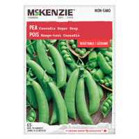 SEMENCES DE LEGUMES: POIS - CASCADIA (SUGAR SNAP)