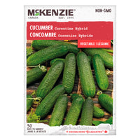 SEMENCES DE LEGUMES: CONCOMBRE - CORENTINE