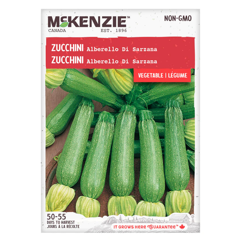 VEGETABLE SEEDS: ZUCCHINI - ALBERELLO DI SARZANA