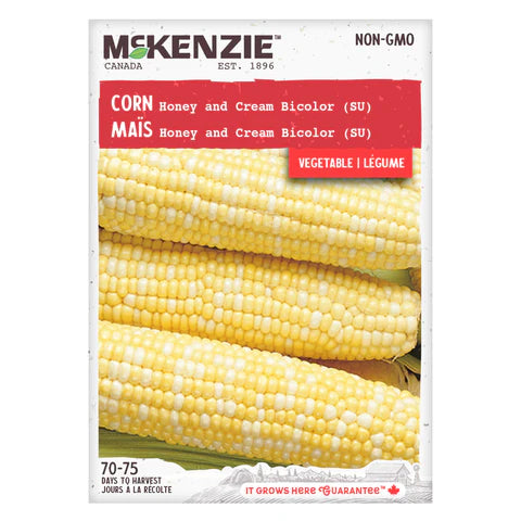 VEGETABLE SEEDS: CORN - HONEY & CREAM BICOLOR