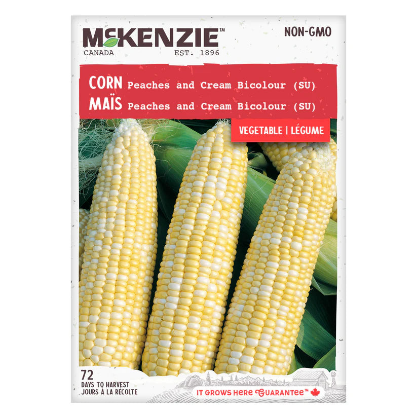 VEGETABLE SEEDS: CORN - PEACHES & CREAM BICOLOR