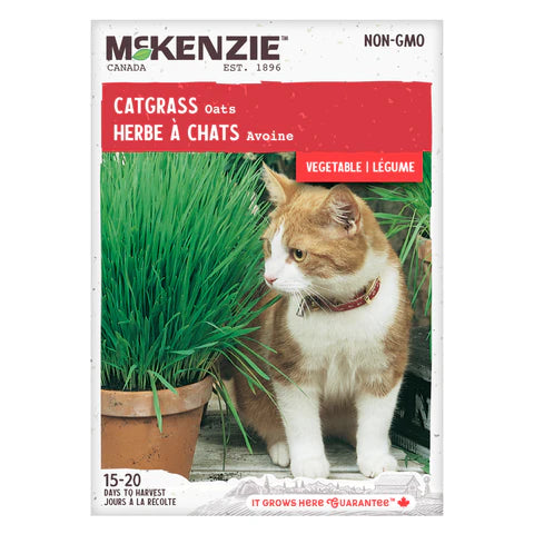 HERB SEEDS: CATNIP - OATS