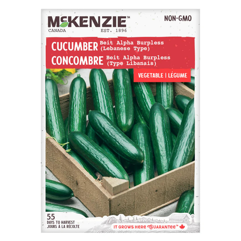VEGETABLE SEEDS: CUCUMBER - BEIT ALPHA BURPLESS LEBANESE