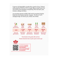 SEMENCES DE LEGUMES: CONCOMBRE - LONG GREEN