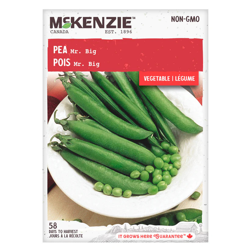 VEGETABLE SEEDS: PEA - MR BIG