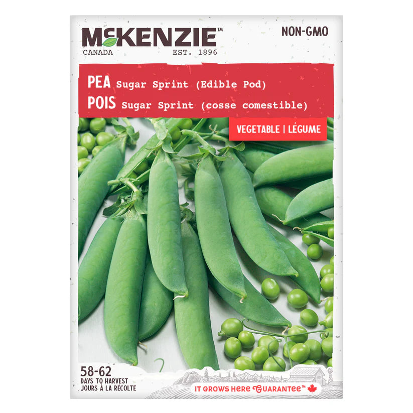 SEMENCES DE LEGUMES: POIS - SUGAR SPRINT EDIBLE POD