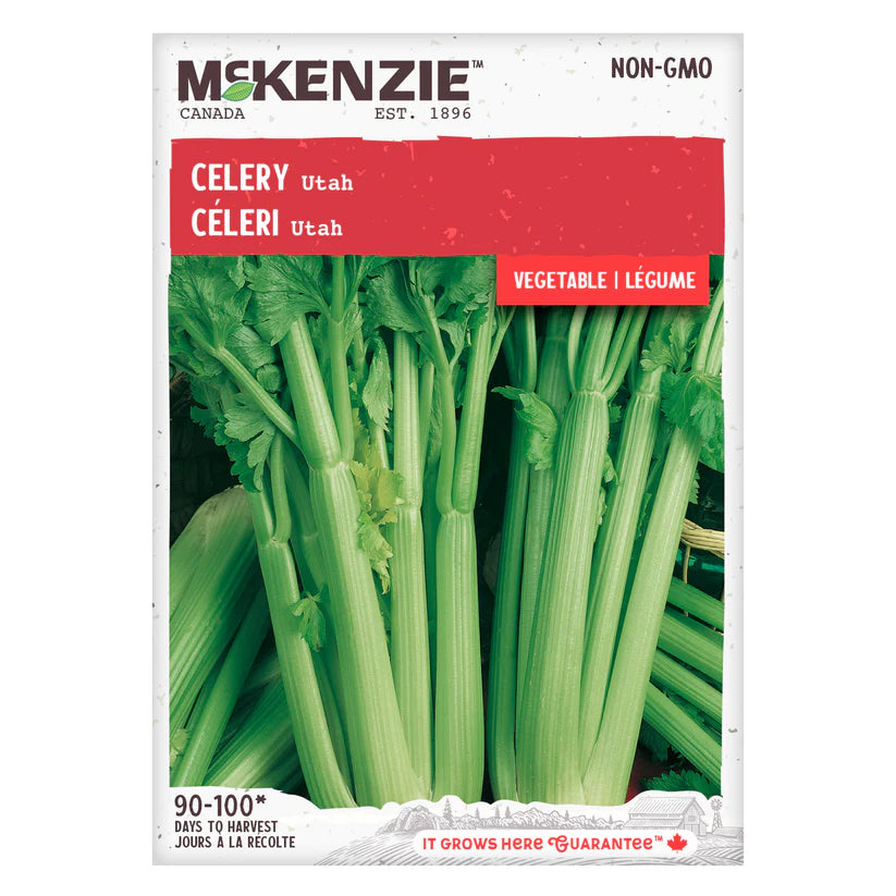 VEGETABLE SEEDS: CELERY - UTAH
