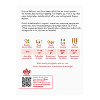 SEMENCES DE LEGUMES: CONCOMBRE - SPRING BURPLESS